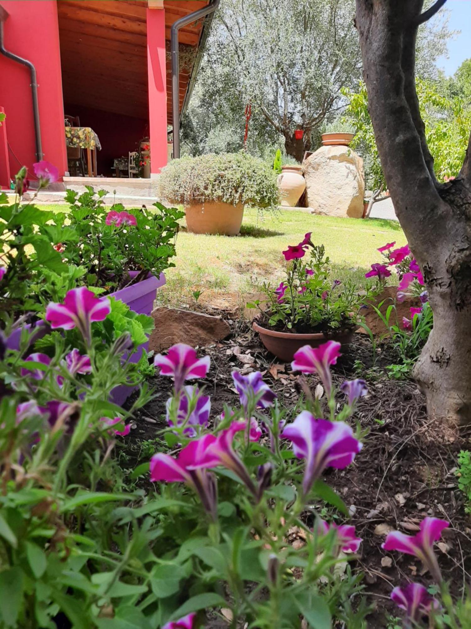 B&B Su Frascu Segau Teulada Buitenkant foto
