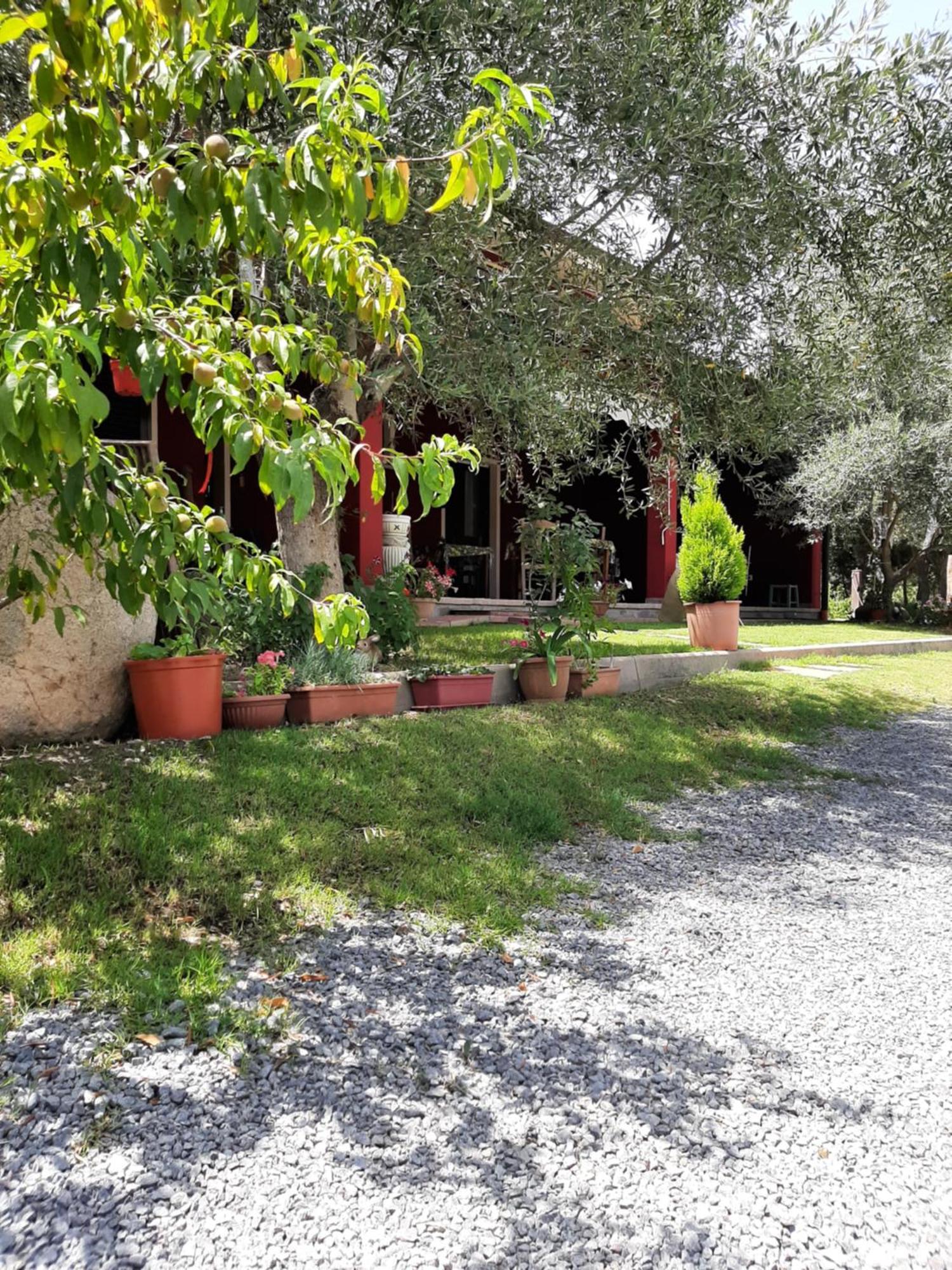 B&B Su Frascu Segau Teulada Buitenkant foto