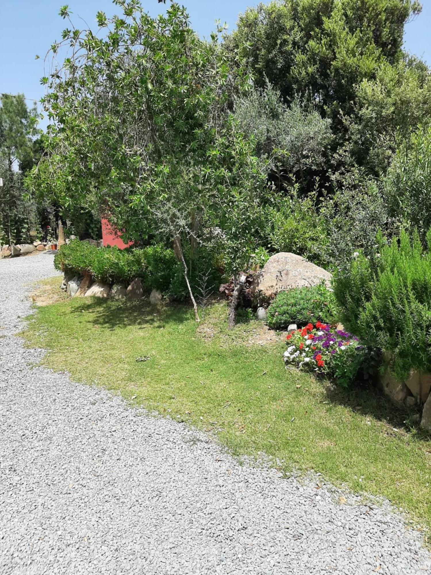 B&B Su Frascu Segau Teulada Buitenkant foto